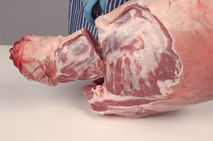 Neck – untrimmed Meat Cut Spec Step 2